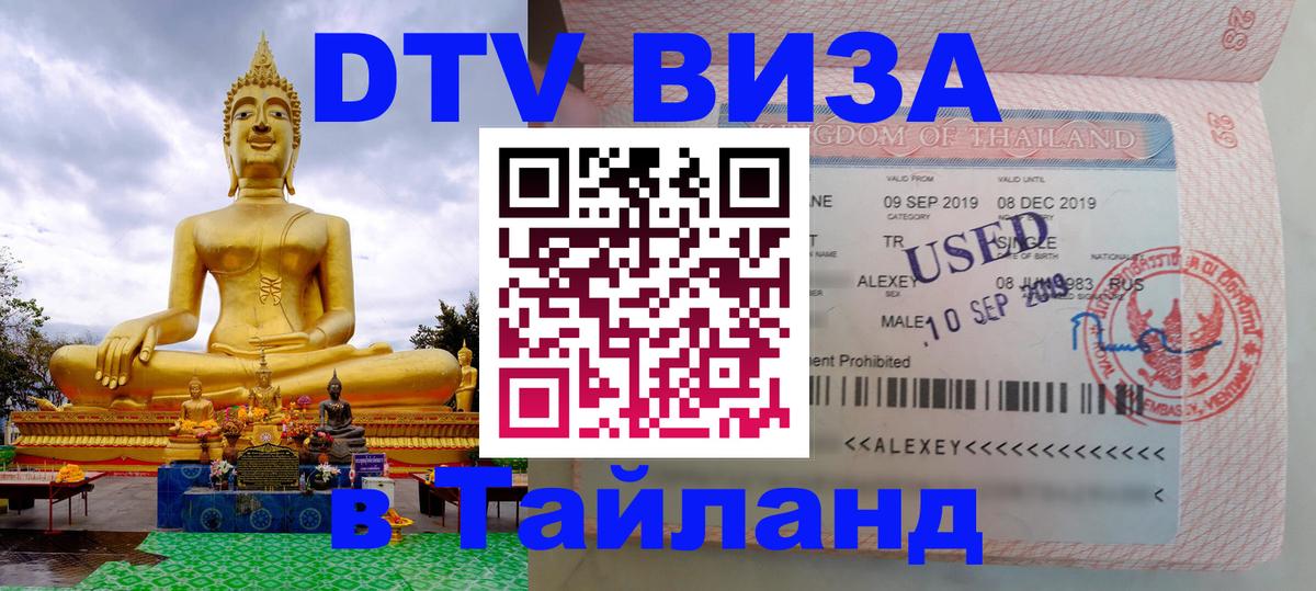 Оформление DTV визы под ключ: стоимость и тарифы, только загранпаспорт - Кишинёв  03.10.2025 